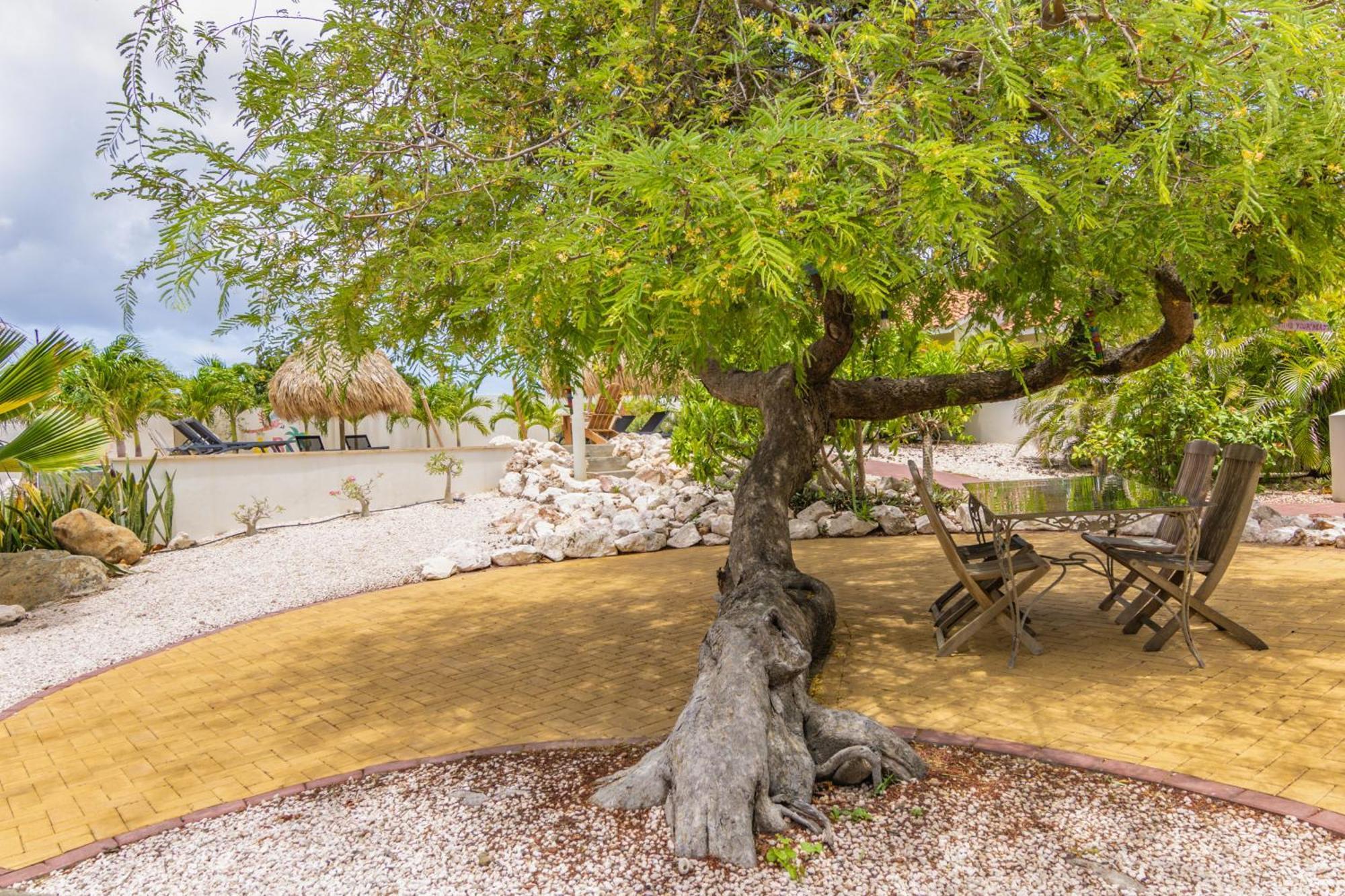 Abc Lodges Curacao Willemstad Exteriér fotografie