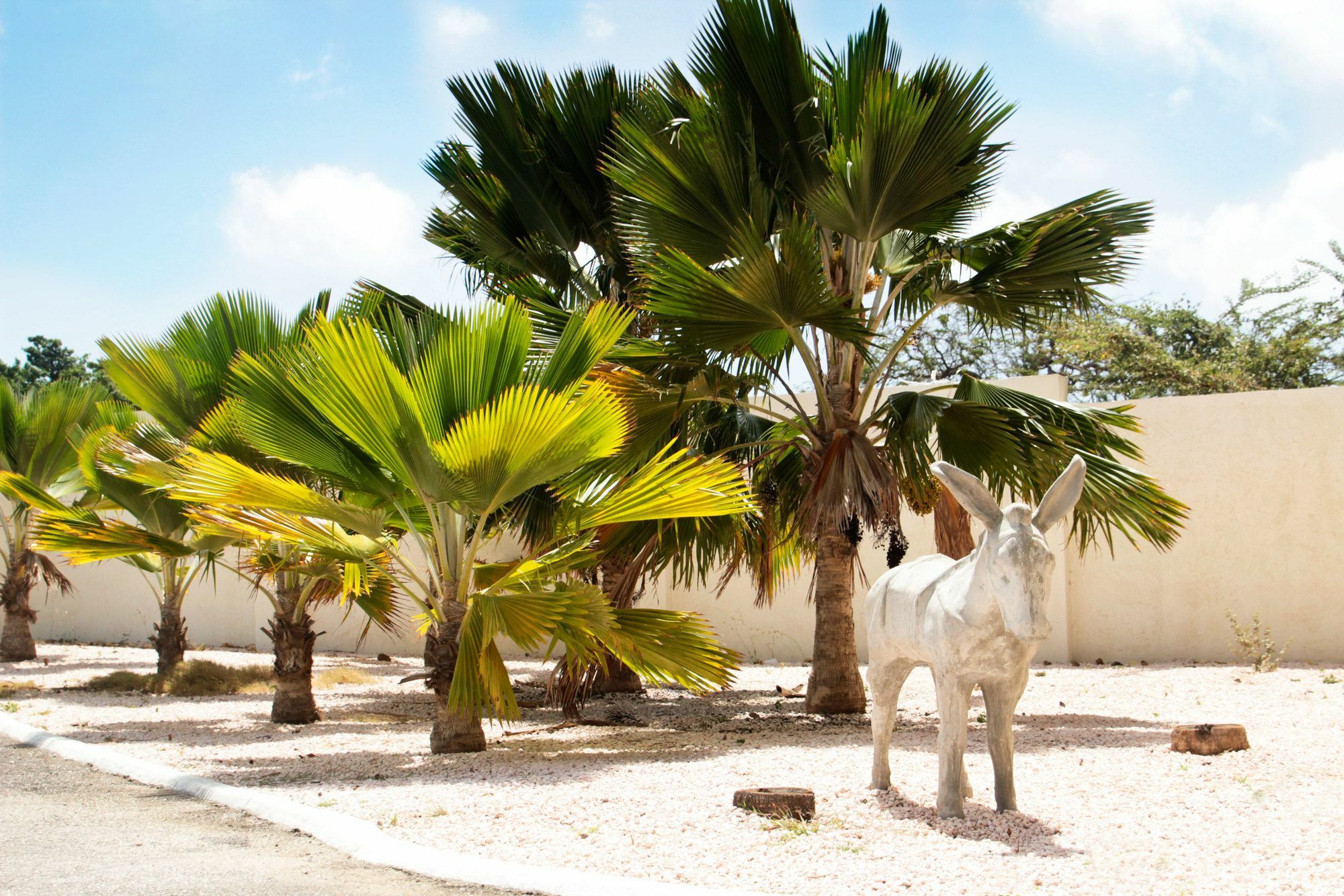Abc Lodges Curacao Willemstad Exteriér fotografie